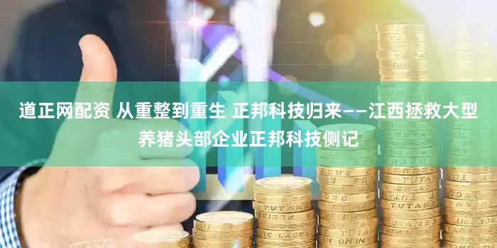 道正网配资 从重整到重生 正邦科技归来——江西拯救大型养猪头部企业正邦科技侧记