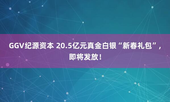 GGV纪源资本 20.5亿元真金白银“新春礼包”，即将发放！