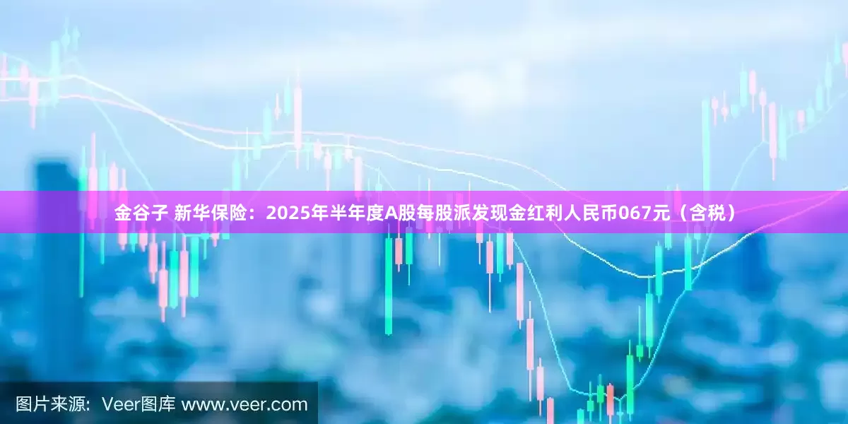 金谷子 新华保险：2025年半年度A股每股派发现金红利人民币067元（含税）