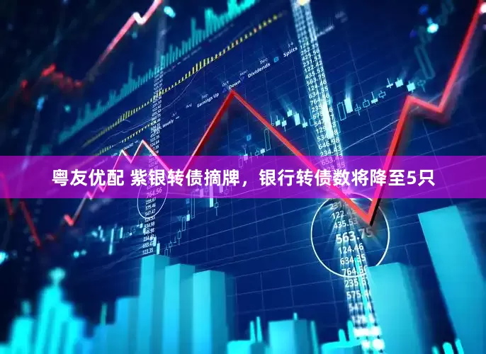 粤友优配 紫银转债摘牌，银行转债数将降至5只